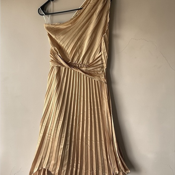 Asymmetrical One-Shoulder Pleated Midi Dress in Cream/Gold - Picture 2 of 8